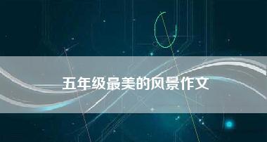 你是我最美的风景600字作文（你是最美的风景写人精选）