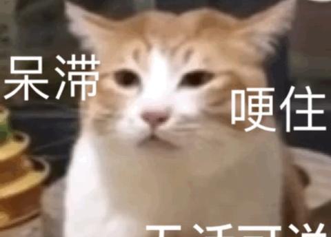 销售搞笑的朋友圈说说（月底冲业绩的短句搞笑句子）