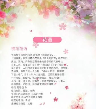 形容樱花飘落的优美句子（描写春天樱花的优美短句短语）