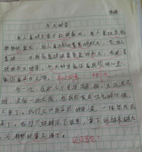 我和有个约定作文800字（我和她有个约定满分）