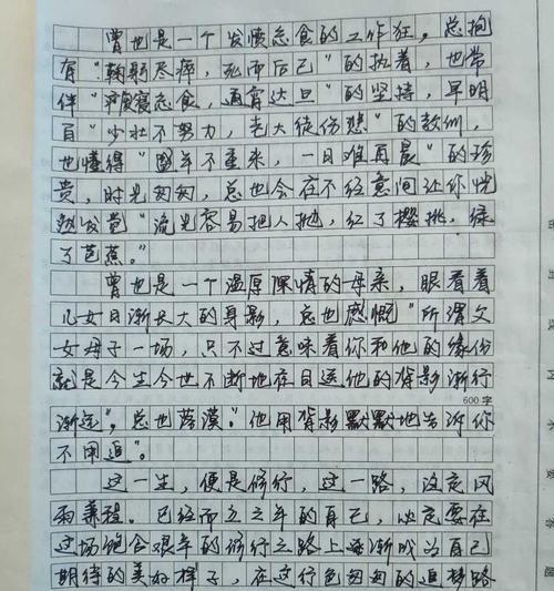 下雪了的作文开头（下雪了精选）