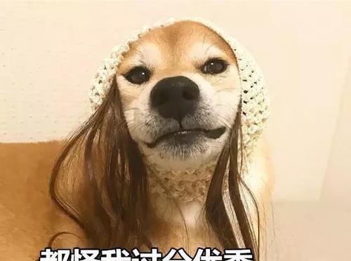 单身虐心的句子（虐心七夕，寂寞单身狗的自白）