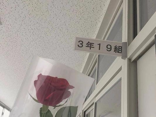 关于七夕表白的唯美句子（2023七夕情话语录，让你的表白更加甜蜜）