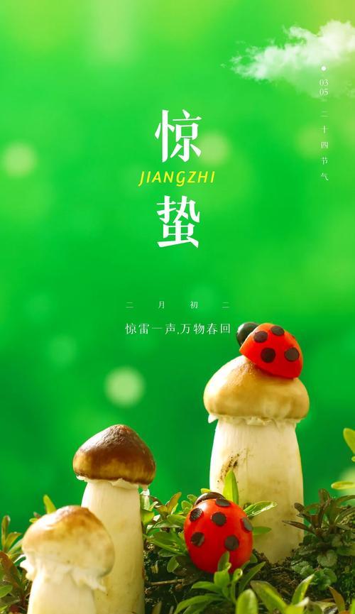 每周一的问候语（用唯美短句为朋友送上祝福）