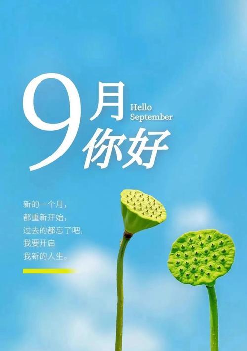 每周一的问候语（用唯美短句为朋友送上祝福）
