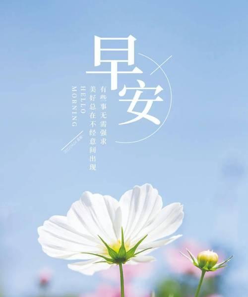 周末早安问候语简短正能量（美好的早晨从这里开始）