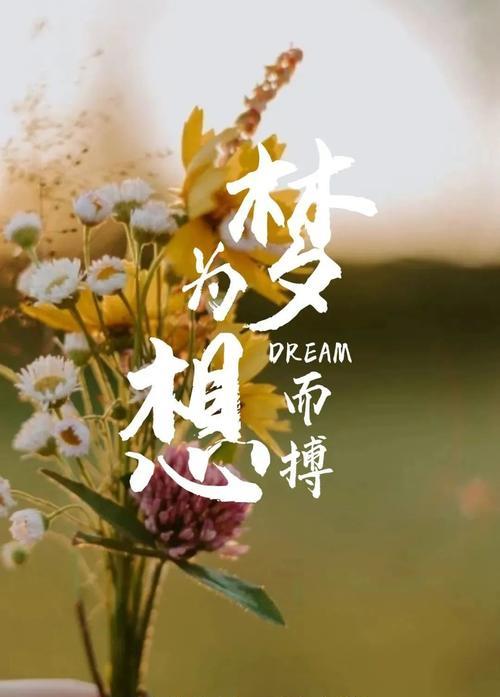 每天一句正能量句子早晨（唤醒美好生活）