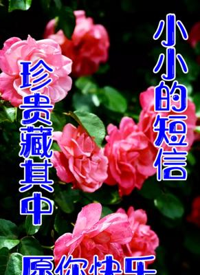 风趣幽默的早安问候语（阳光幽默，温馨早安）