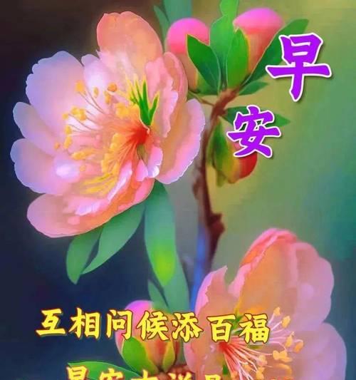 元旦第一天早上祝福语（迎接2023元旦，送你25个唯美早安心语）