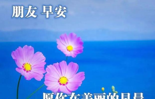 元旦第一天早上祝福语（迎接2023元旦，送你25个唯美早安心语）