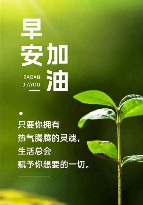 元旦第一天早上祝福语（迎接2023元旦，送你25个唯美早安心语）
