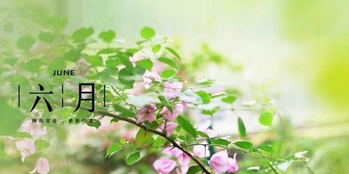 有关六月你好唯美心情说说的句子（《六月阳光，温柔如你》）