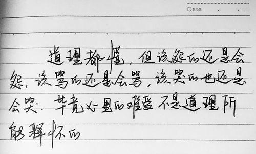 名言名句优美句子励志（感悟生命的意义，追寻内心的快乐）