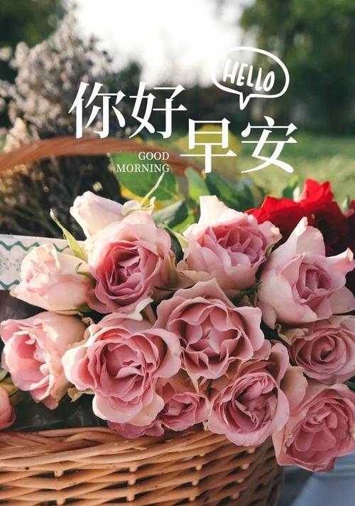 有关励志早安问候语正能量清晨的问候的短句（唯美清晨，以励志早安问候语传递正能量。本文将以此为主题，展现一幅美好的清晨画卷。）