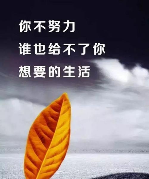 有关励志热血的说说句子的好句摘抄（点亮内心的火焰）