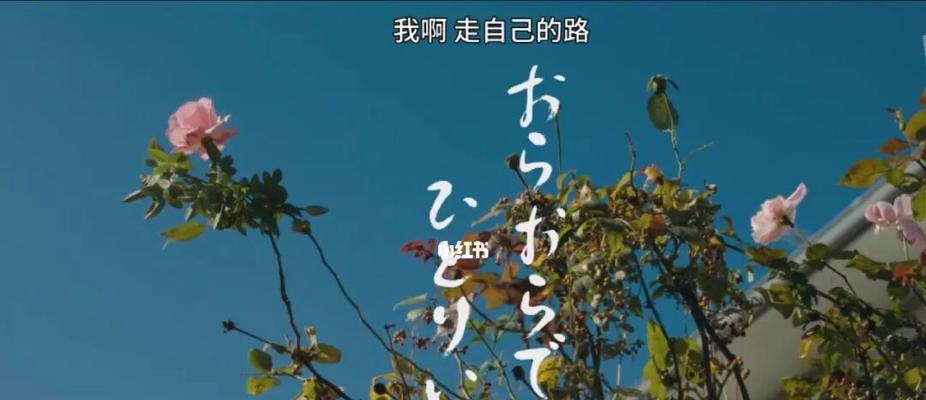 有关走自己的路的作文800字（《我的路，我走——一个女孩坚定的选择》）