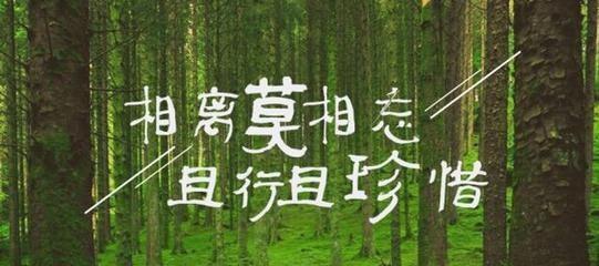 且行且珍惜作文600字左右（《世间万物皆可珍惜，时刻怀着感恩之心》）