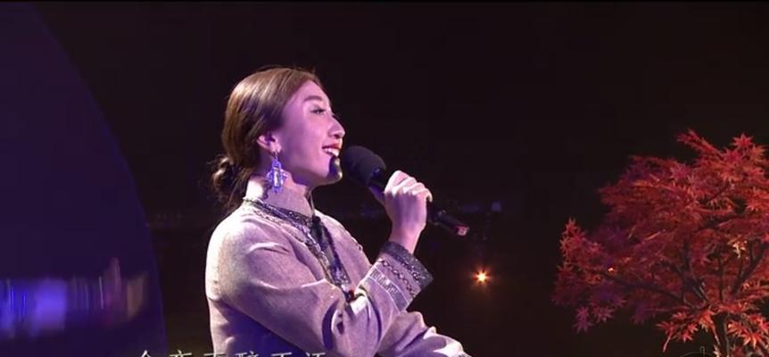 有一种声音满分作文（《从音乐中找到人生方向》）