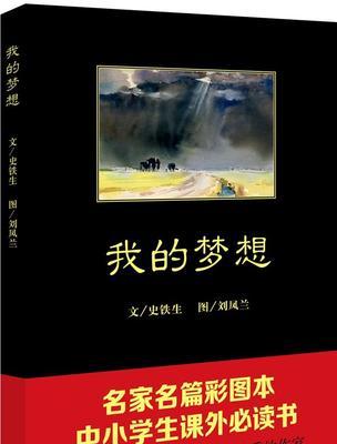 以我的梦想为话题的作文800（《音乐路上的坚持与追求》）