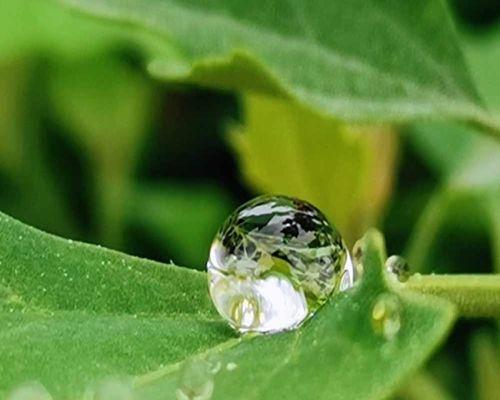 以雨为话题的作文600字（《雨后彩虹》）
