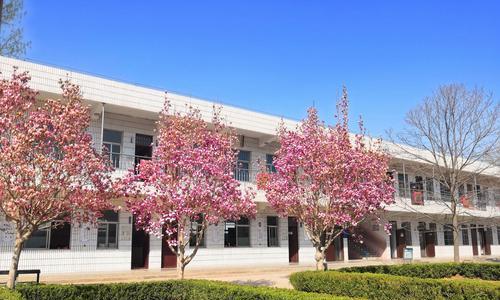 以美丽的校园为题写一段话（《美丽校园》）