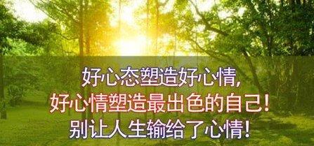 有关关于态度的句子的句子摘抄（态度的魔力）