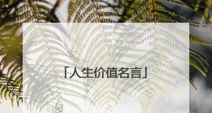 有关关于人生生命名言精选的好句摘抄（《人生的真谛》）