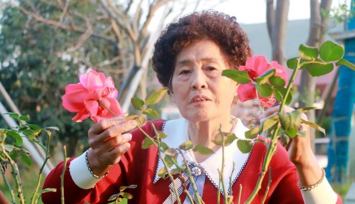 有关关于人生留香的句子的好句有哪些（人生留香）