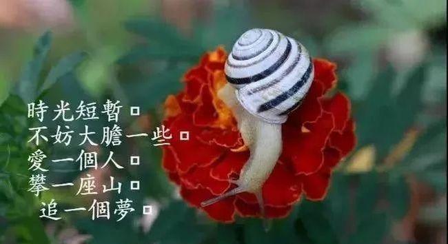 有关精彩人生的名人名言（精彩人生，唯美名言）