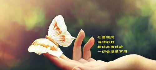 有关精彩人生的名人名言（精彩人生，唯美名言）