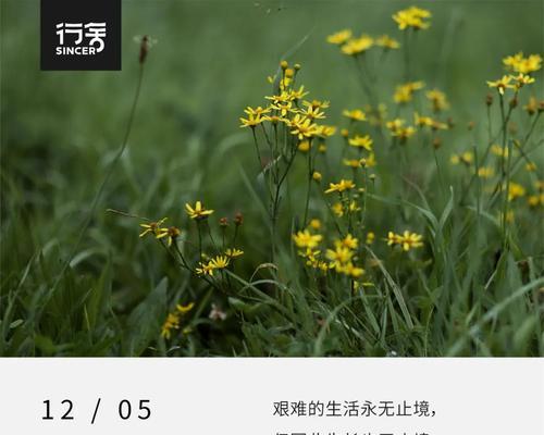 人生艰苦的句子名句名言（在光明与黑暗的较量中前行）