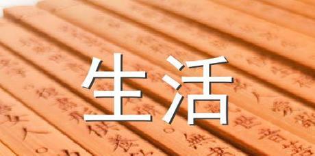 有关关于人生规划的名言警句的短句有哪些（人生规划：追寻内心的方向）