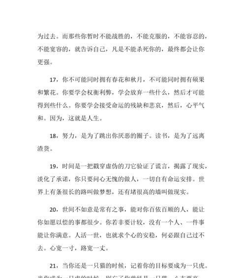 关于励志的经典语录的句子（《励志之光》）