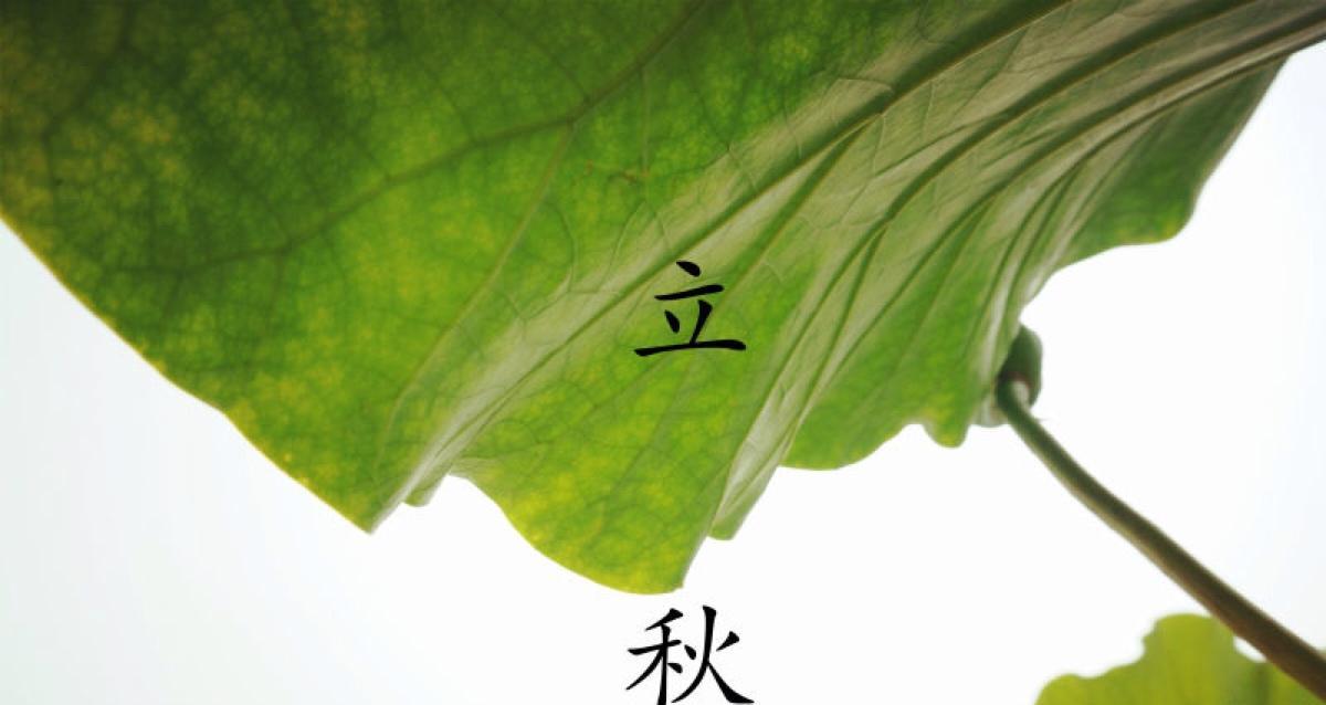有关关于立秋经典谚语的短句有哪些（《七月的清凉》-立秋经典谚语）