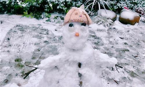 有关关于今年第一场雪的心情说说的句子（唯美短句，诉说内心）