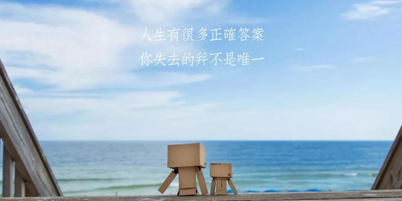 关于迎难而上的名言名句（勇敢迎难，绽放人生）