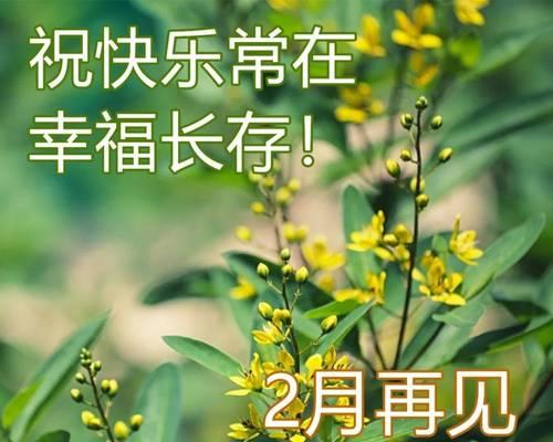 三月你好短语句子（美丽三月，遇见最美的自己）