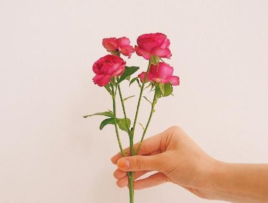 2020年圣诞节朋友圈说说（迎接美好的2023圣诞，送上温馨祝福）