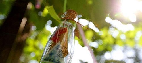 有关晴天的最新句子的好句摘抄（晴天的最新句子）