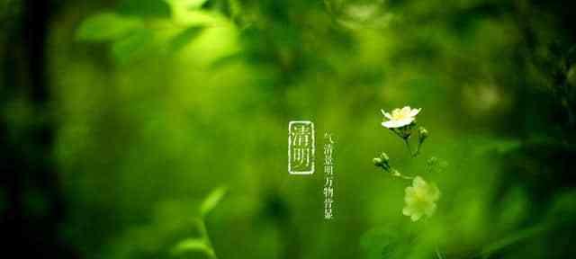 有关清明节优美句子的短句摘抄（清明节，寄托着家怀）