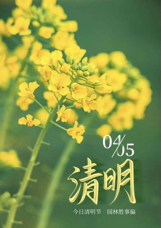 关于清明节的说说短句大全（纪念逝者，珍爱生命）