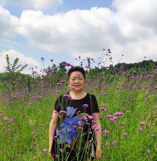 青山绿水句子,青山绿水唯美句子（《青山绿水的美丽世界》）