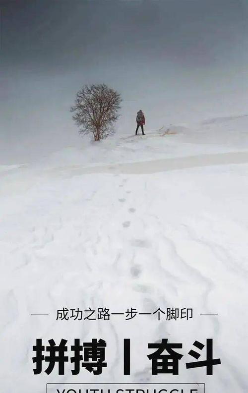 关于青春奋斗的优美语句（用青春书写辉煌）