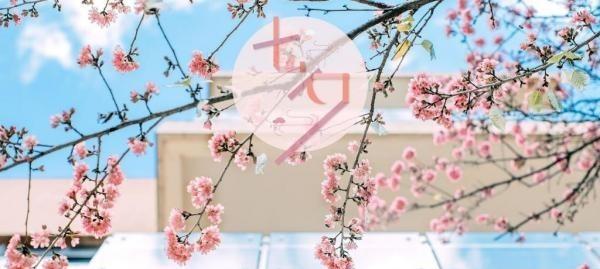 有关七夕说说情话的句子（七夕情话唯美句子）