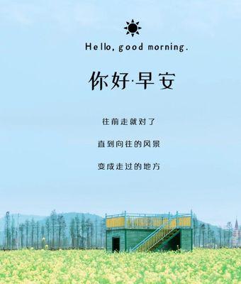 情人节的早安语录（浓情七夕，爱在心间）
