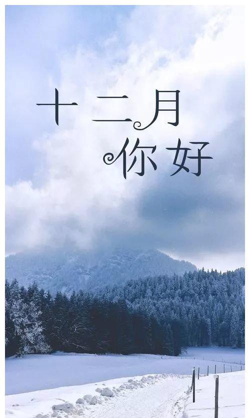 十二月你好发朋友圈的句子（寻找温暖的十二月）