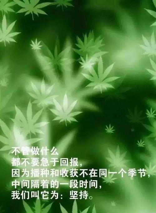 朋友圈至理名言（点亮人生的灯塔）