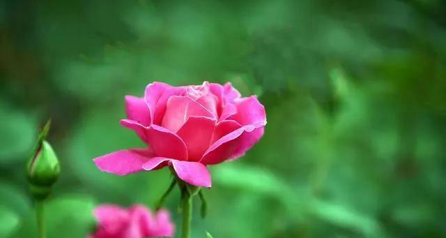 朋友圈优美的句子摘抄,拿去发说说吧（朋友圈的美好）
