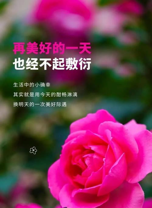 努力有回报的唯美句子成语（努力奋斗）