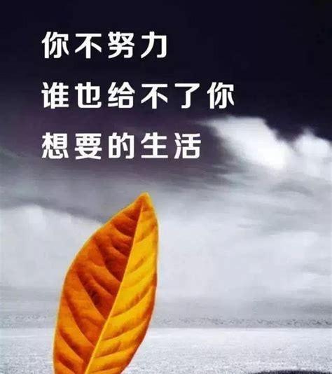 努力有回报的唯美句子成语（努力奋斗）
